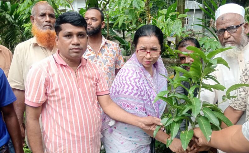 জামালপুরে এমপি ডক্টর নিলোফার চৌধুরী মনির বৃক্ষরোপণ ও রাস্তা পরিদর্শন
